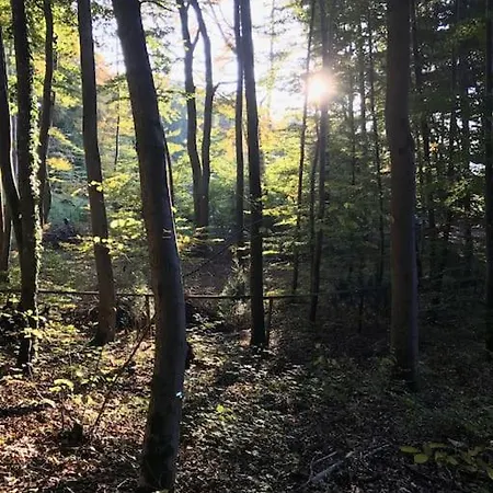 Διαμέρισμα Grosse Mit Dachterrasse In Στάρνμπεργκ
