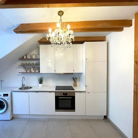 Grosse Mit Dachterrasse In Apartment Starnberg
