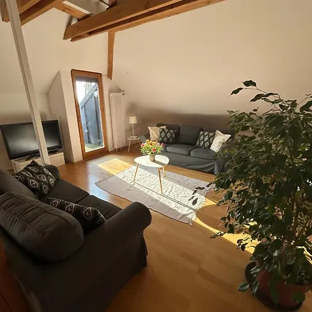 Grosse Mit Dachterrasse In Apartment Starnberg