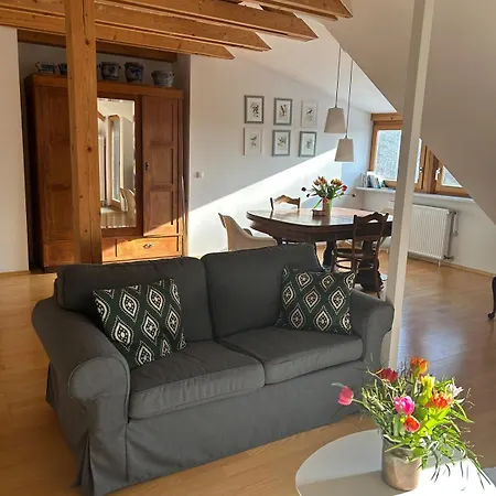 Grosse Mit Dachterrasse In Appartement